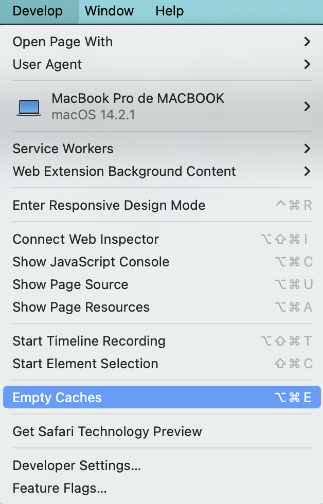 Click Develop in the upper menu, and choose Empty Caches